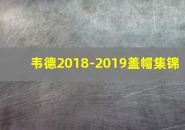 韦德2018-2019盖帽集锦