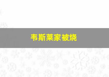 韦斯莱家被烧