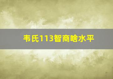 韦氏113智商啥水平