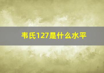 韦氏127是什么水平