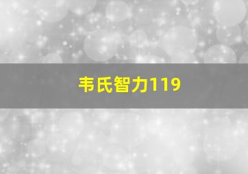 韦氏智力119