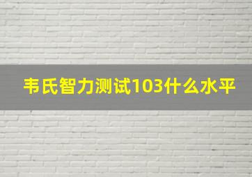 韦氏智力测试103什么水平