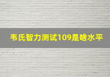 韦氏智力测试109是啥水平