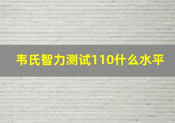 韦氏智力测试110什么水平