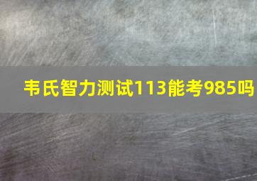 韦氏智力测试113能考985吗