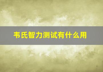 韦氏智力测试有什么用