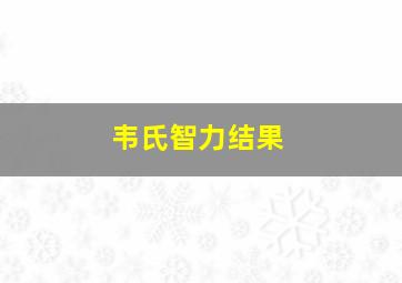 韦氏智力结果