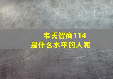 韦氏智商114是什么水平的人呢