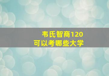 韦氏智商120可以考哪些大学