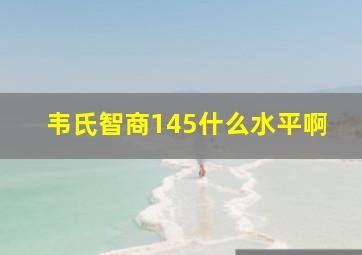 韦氏智商145什么水平啊