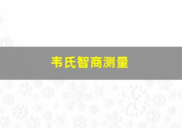 韦氏智商测量