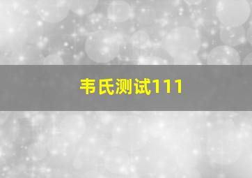 韦氏测试111