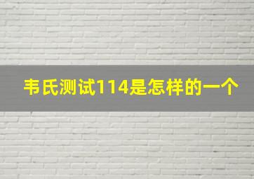 韦氏测试114是怎样的一个