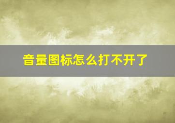 音量图标怎么打不开了