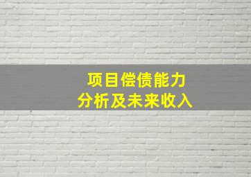 项目偿债能力分析及未来收入