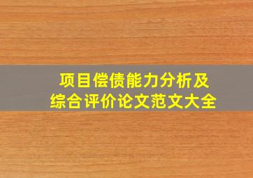 项目偿债能力分析及综合评价论文范文大全