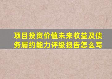 项目投资价值未来收益及债务履约能力评级报告怎么写