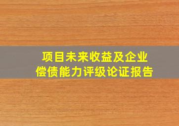 项目未来收益及企业偿债能力评级论证报告