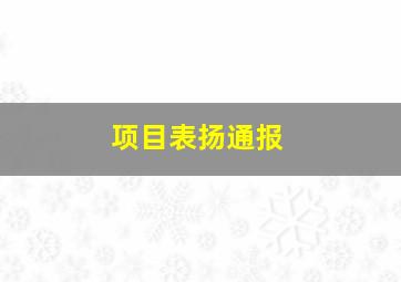 项目表扬通报