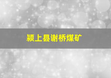 颍上县谢桥煤矿