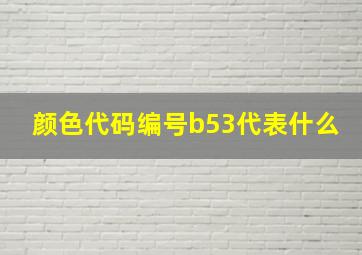 颜色代码编号b53代表什么