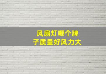 风扇灯哪个牌子质量好风力大