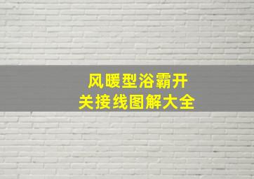 风暖型浴霸开关接线图解大全