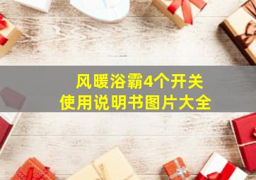 风暖浴霸4个开关使用说明书图片大全