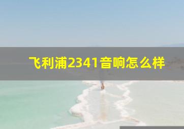 飞利浦2341音响怎么样