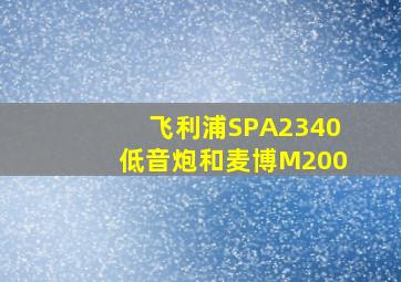 飞利浦SPA2340低音炮和麦博M200