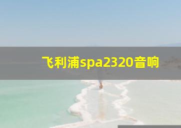 飞利浦spa2320音响