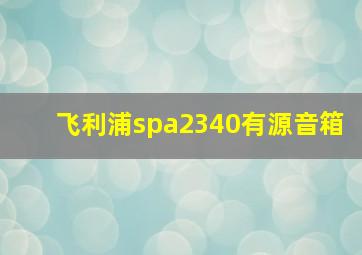 飞利浦spa2340有源音箱