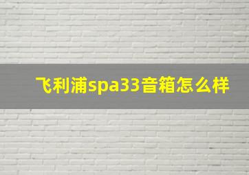 飞利浦spa33音箱怎么样