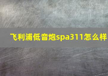 飞利浦低音炮spa311怎么样