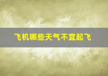 飞机哪些天气不宜起飞