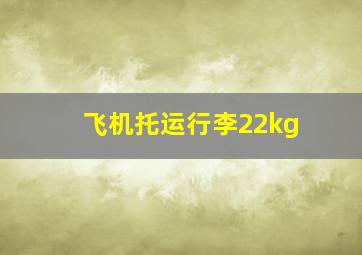 飞机托运行李22kg