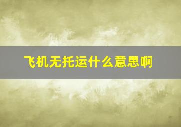 飞机无托运什么意思啊