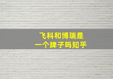 飞科和博瑞是一个牌子吗知乎