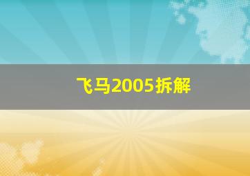 飞马2005拆解