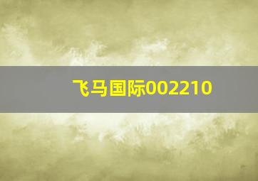 飞马国际002210