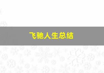 飞驰人生总结