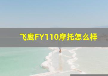 飞鹰FY110摩托怎么样