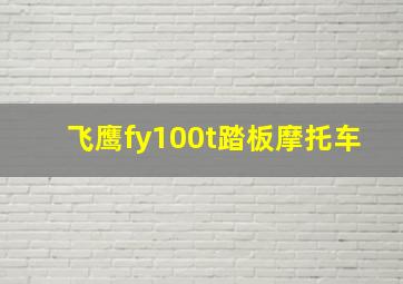 飞鹰fy100t踏板摩托车