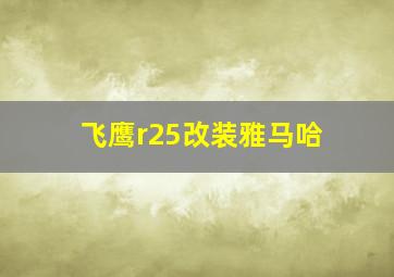 飞鹰r25改装雅马哈