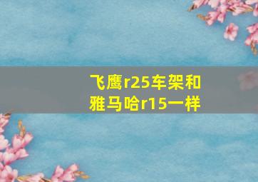 飞鹰r25车架和雅马哈r15一样