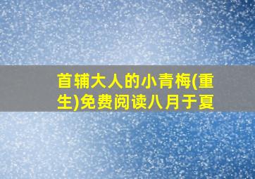 首辅大人的小青梅(重生)免费阅读八月于夏