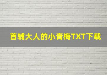 首辅大人的小青梅TXT下载