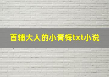 首辅大人的小青梅txt小说