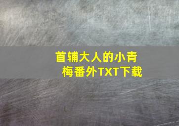 首辅大人的小青梅番外TXT下载