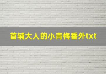 首辅大人的小青梅番外txt